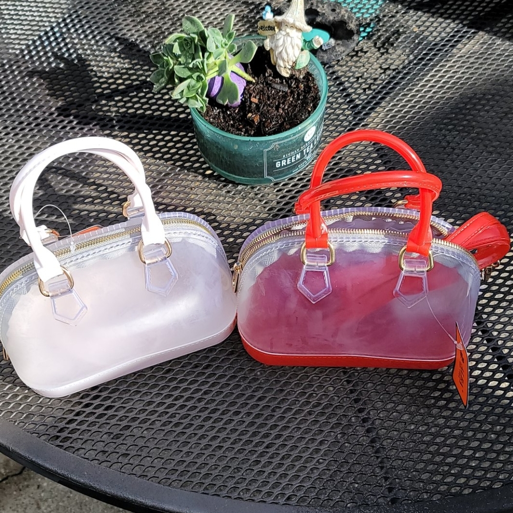 Essentials Purse Great for stadiums and theme parks!